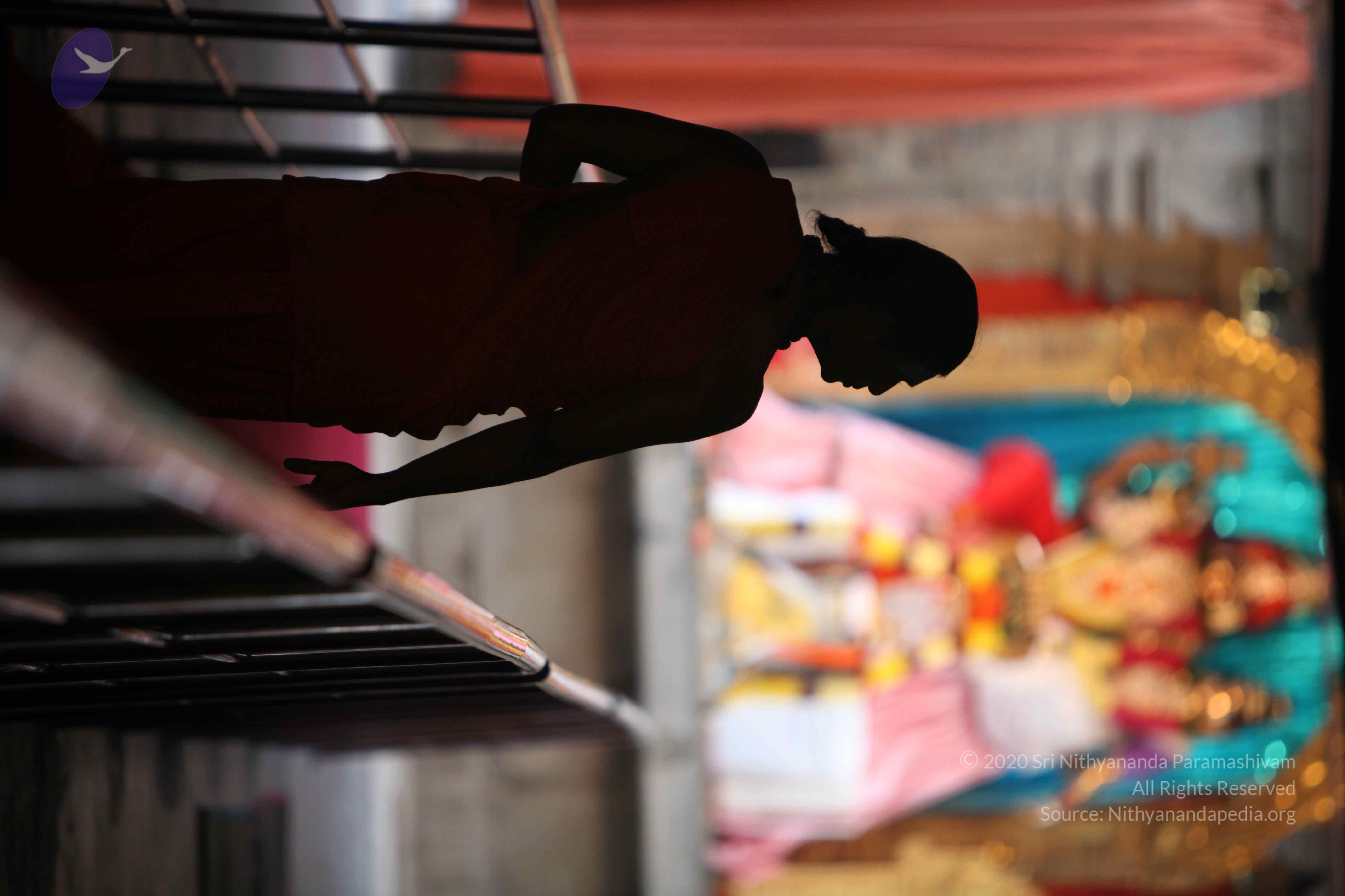 20110225_Photo_1034_IMG_0742_CMP_WM